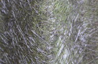 Bloxwich fibreglass roof work